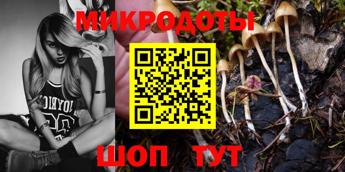 ГАШ Рославль