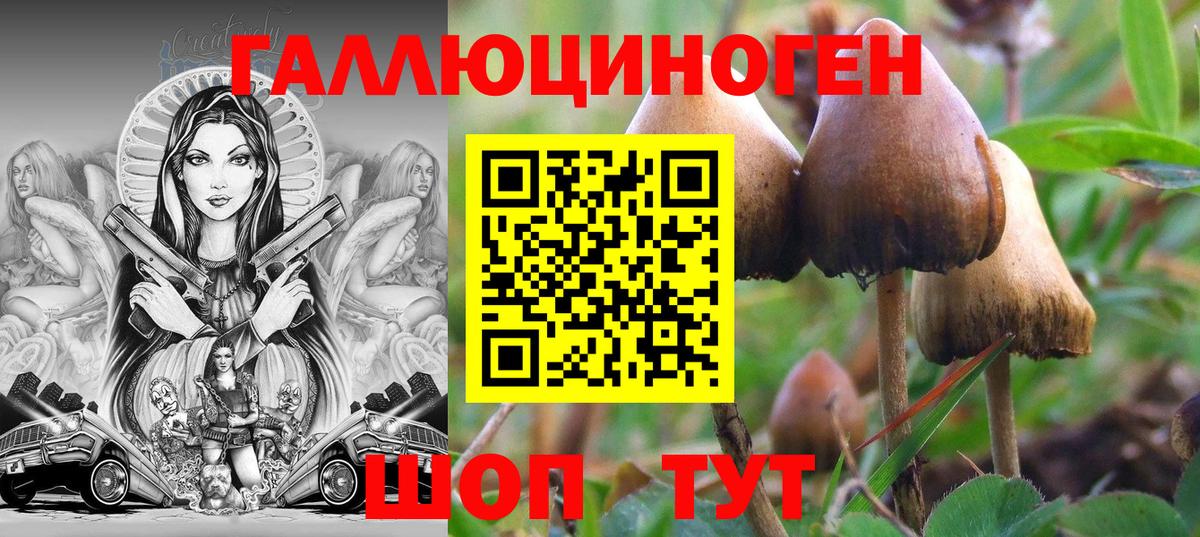 Псилоцибиновые грибы Cubensis Рославль